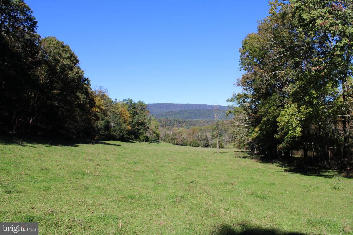 Mathias, WV 26812,33.03 AC HILL CIRCLE