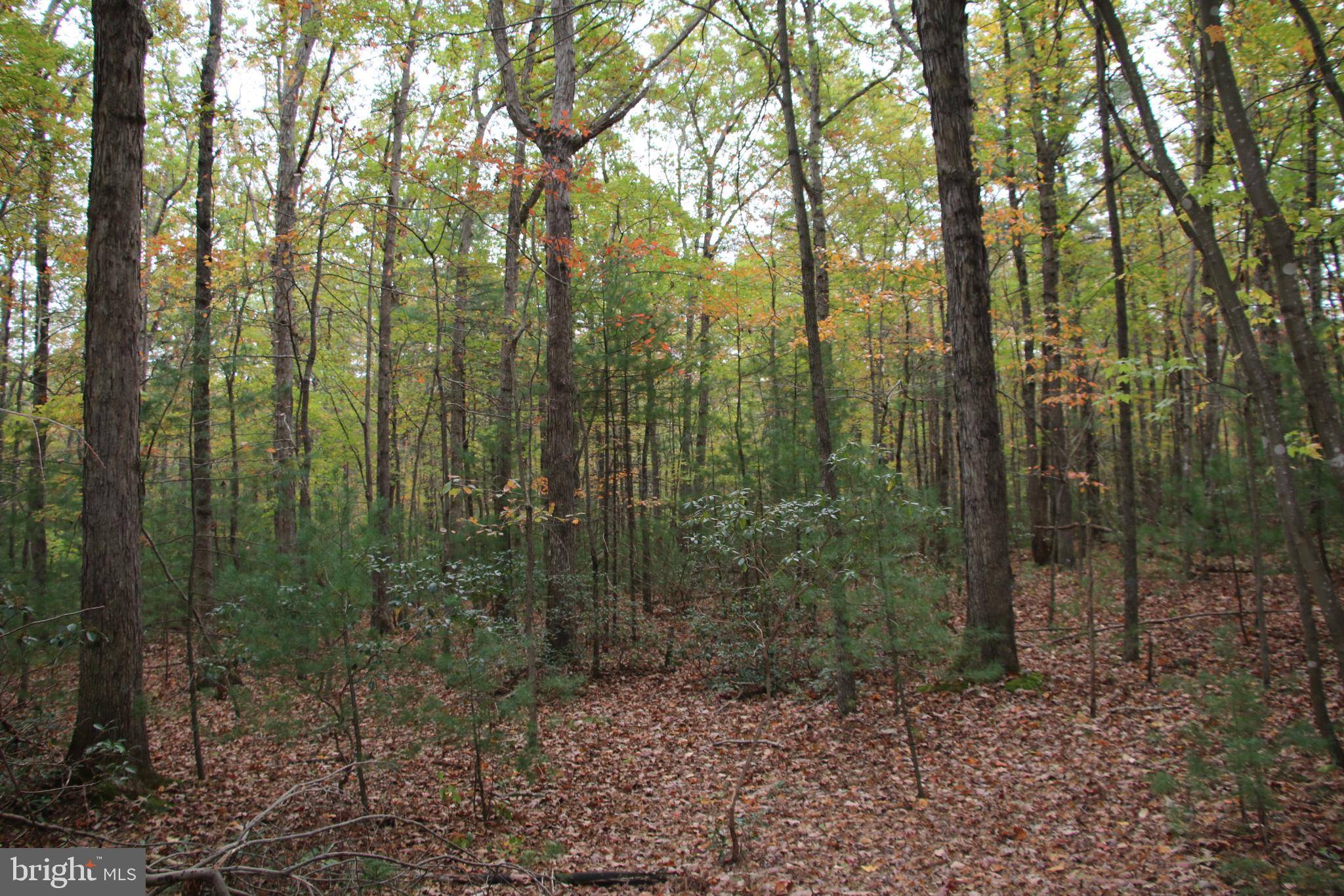 Basye, VA 22810,ALUM SPRINGS RD