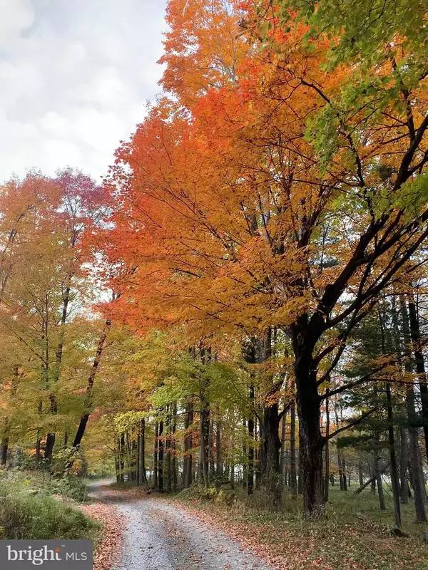 Swanton, MD 21561,341 HIDDEN MEADOW LN