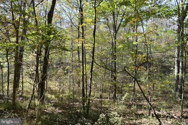 Winchester, VA 22602,33+ ACRES QUAIL RUN LN