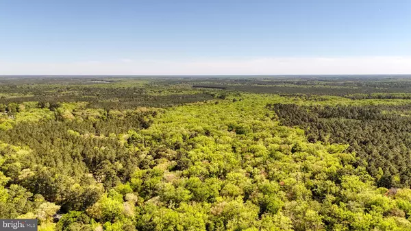 Snow Hill, MD 21863,0 MEADOW BRIDGE RD