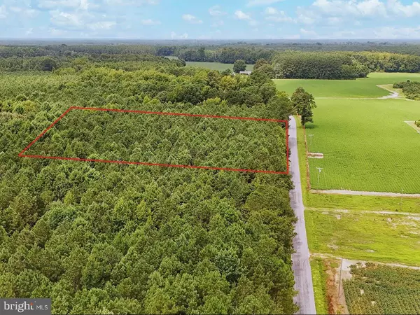 Capron, VA 23829,RIVERS MILL RD.