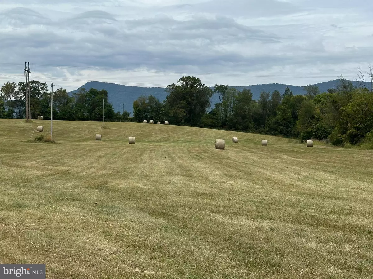 Luray, VA 22835,VAUGHN SUMMIT RD.
