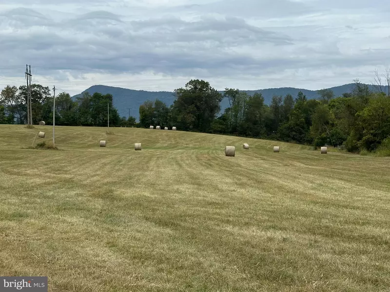 VAUGHN SUMMIT RD., Luray, VA 22835