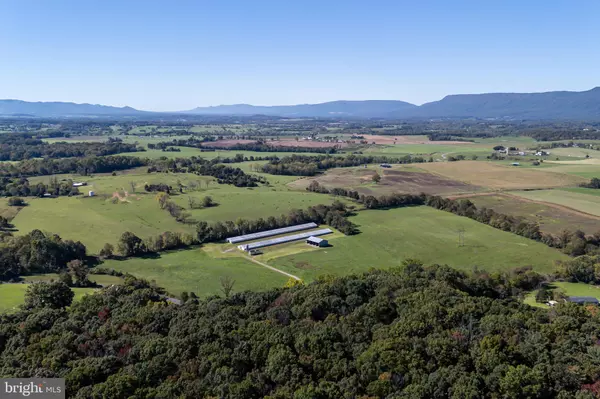 Luray, VA 22835,VAUGHN SUMMIT RD.