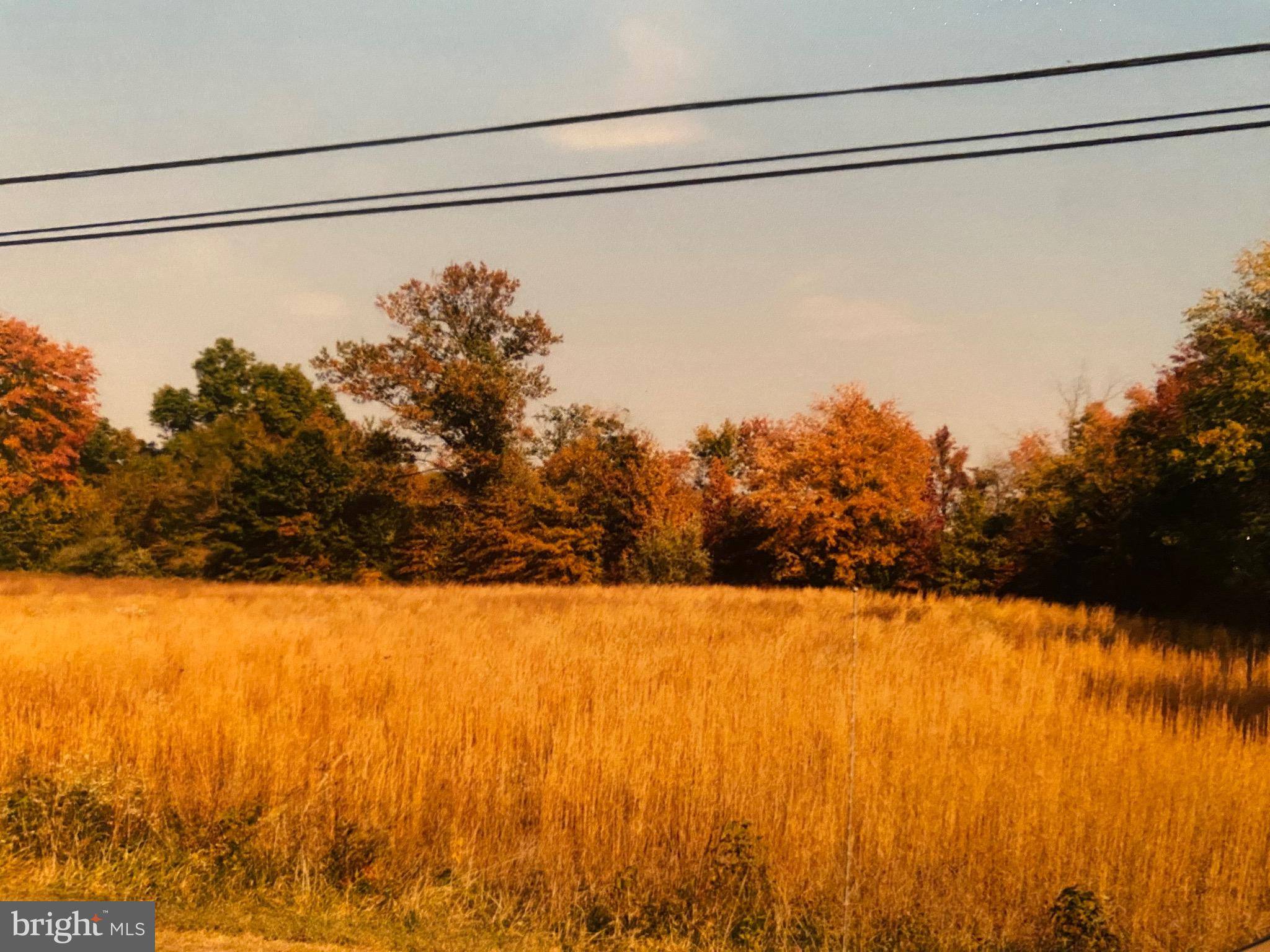 WALNUT STREET RD.,  Salem,  NJ 08079