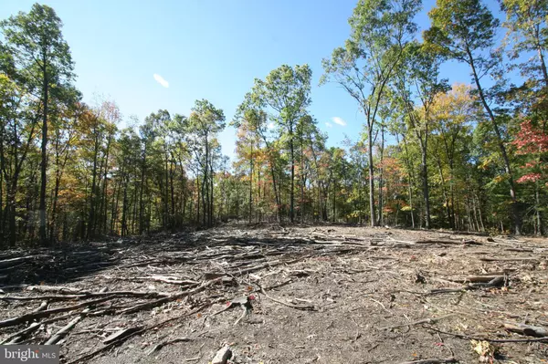 Shade Gap, PA 17255,000 BUCK TRAIL