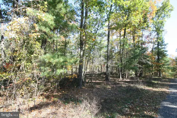 Shade Gap, PA 17255,000 BUCK TRAIL