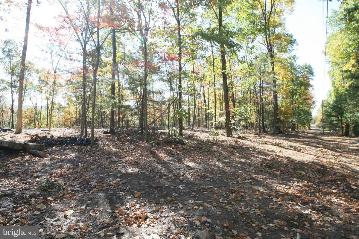 Shade Gap, PA 17255,000 BUCK TRAIL