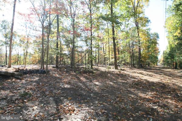 000 BUCK TRAIL,  Shade Gap,  PA 17255