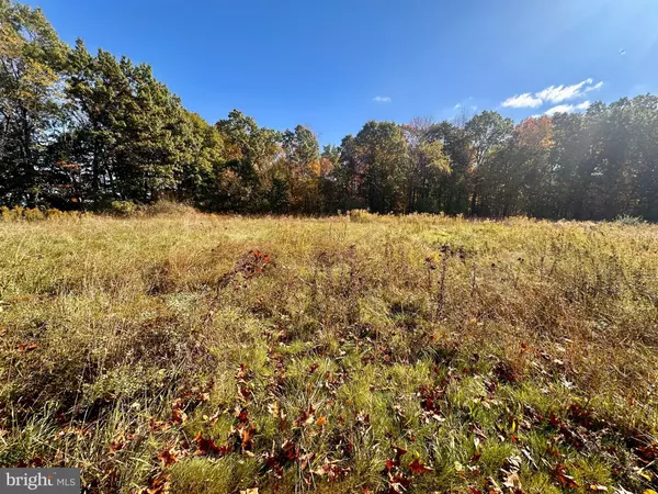 Fort Littleton, PA 17223,LOT 1 GREAT COVE RD