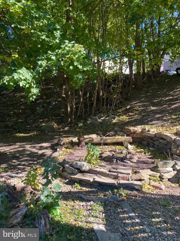 Coal Township, PA 17866,1225 CHEMUNG ST