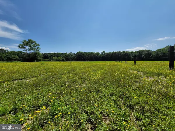 Centreville, MD 21617,311 HATCHETT RD