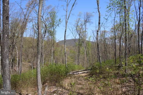 Great Cacapon, WV 25422,855.05 ACRES-1 WOODMONT ROAD