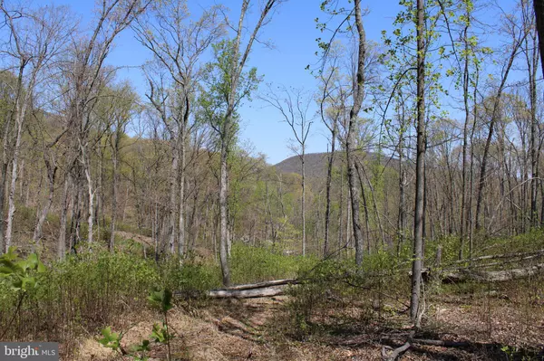 Great Cacapon, WV 25422,855.05 ACRES-1 WOODMONT ROAD