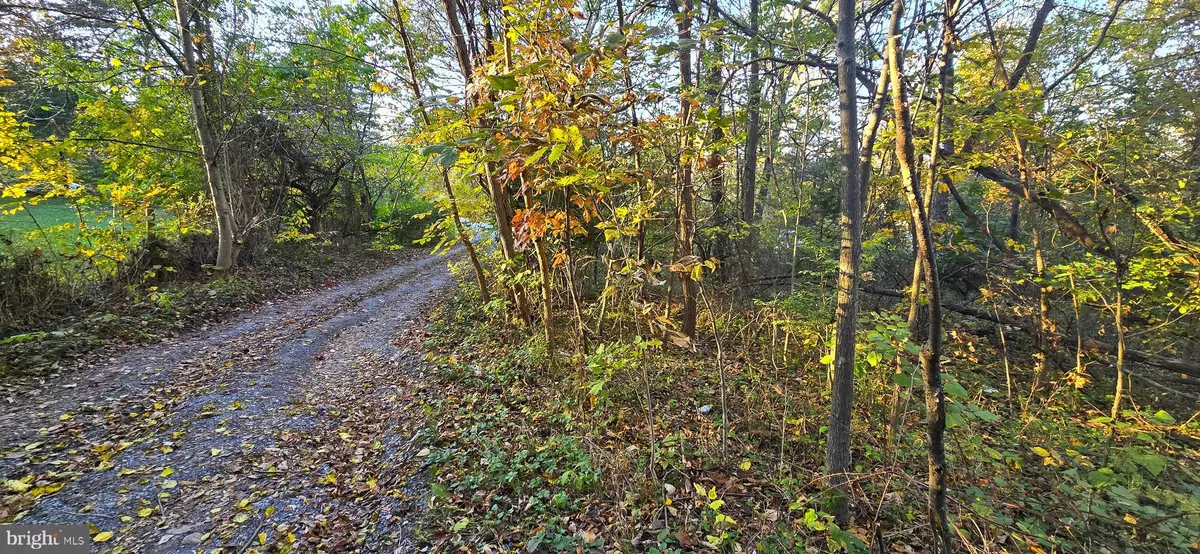 Edinburg, VA 22824,LOT 5 CAVE SPRINGS LN.