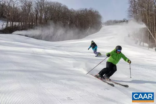 Wintergreen Resort, VA 22967,25 STONY COVE LN