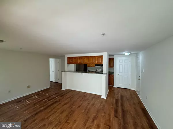 Germantown, MD 20874,13105 BRIARCLIFF TER #1103