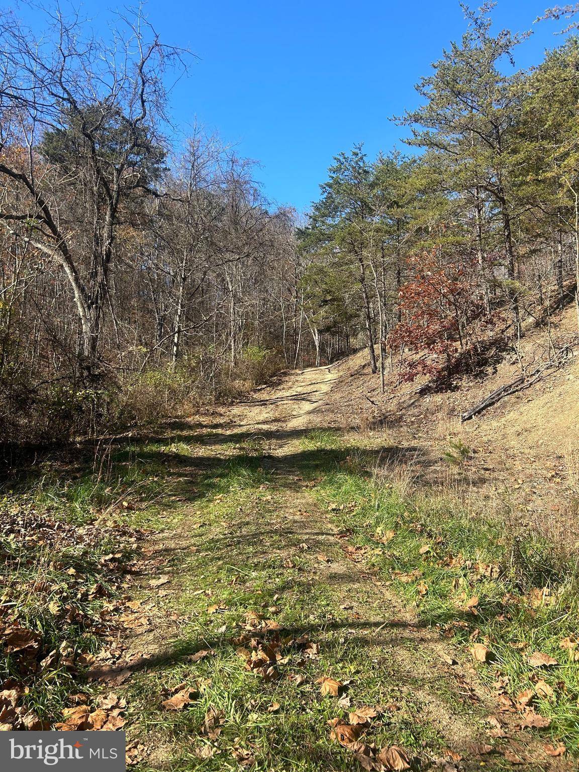 Great Cacapon, WV 25422,320 YOUNGBLOOD RD