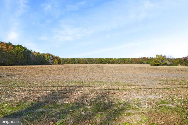 LOT 177 HOPETON RD, Bloxom, VA 23308