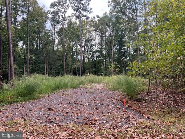 Greenbackville, VA 23356,LOT 1955 MAYFLOWER DR