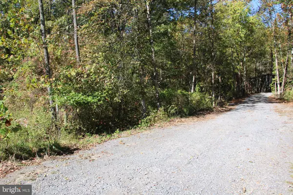 Strasburg, VA 22657,SADLICK LOT I RD