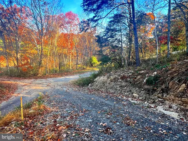 Keyser, WV 26726,LOT 4/ PATTERSON CREEK RD