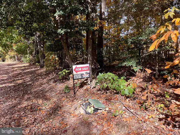 Bowling Green, VA 22427,4.913 ACRES SARAH ST