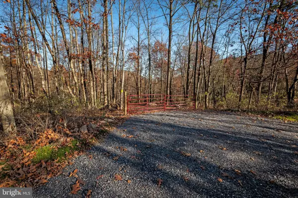 Star Tannery, VA 22654,TBD LOT 1 CAPON SPRINGS GRADE