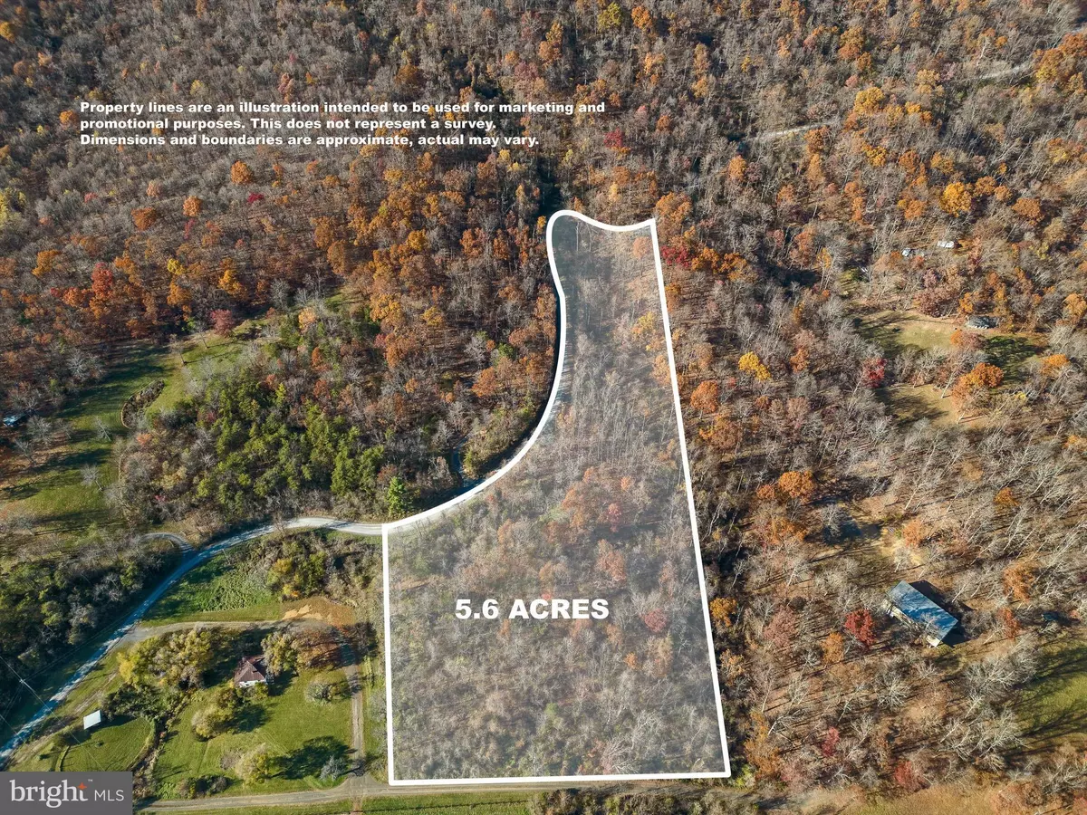 Star Tannery, VA 22654,TBD LOT 1 CAPON SPRINGS GRADE