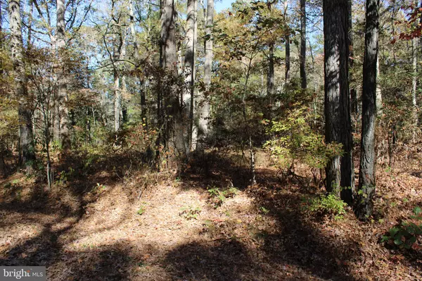 Newark, MD 21841,0 CROPPERS ISLAND RD #LOT 15