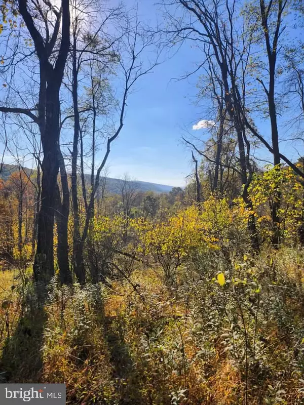 Imler, PA 16655,LOTS C1-C4 NATURES SYMPHONY ROAD