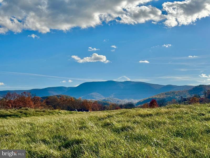 3.7 AC BUCK MOUNTAIN RD, Bentonville, VA 22610