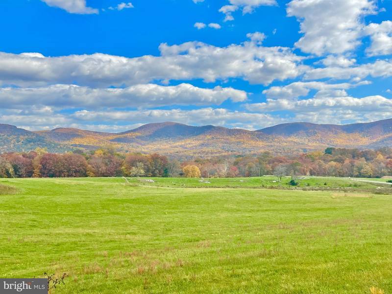 10 AC BUCK MOUNTAIN RD, Bentonville, VA 22610