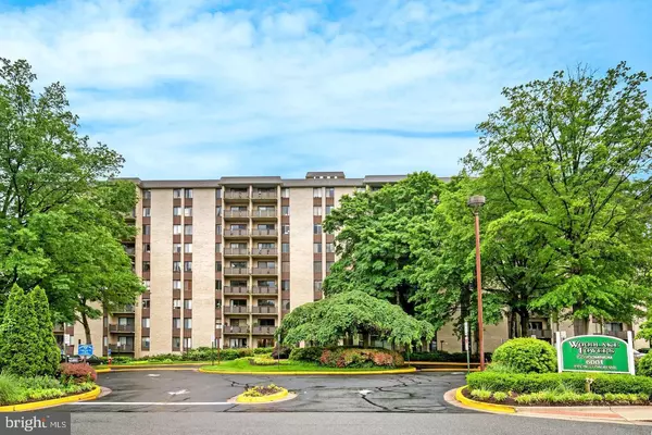 6001 ARLINGTON BLVD #806, Falls Church, VA 22044