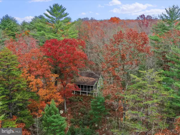 Capon Bridge, WV 26711,233 HIGH CLIFF RD