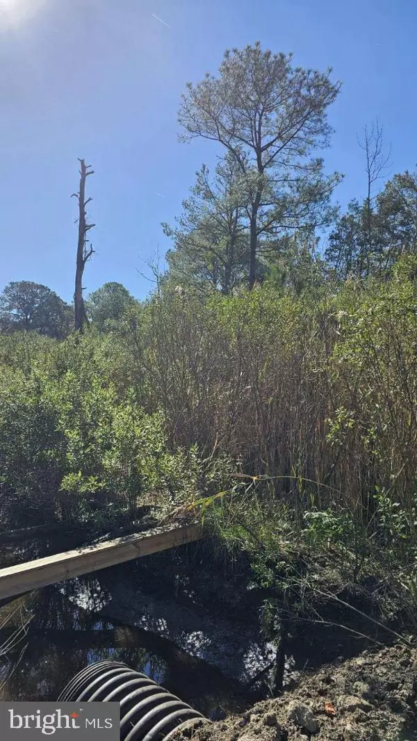 Crisfield, MD 21817,0 ASBURY AVE