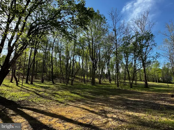 Washington, VA 22747,0 FLATWOOD LANE