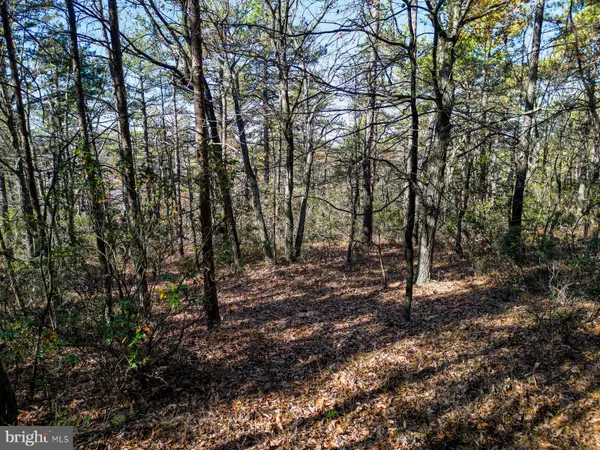 Yellow Spring, WV 26865,LOT 80 DOE GARDEN DR