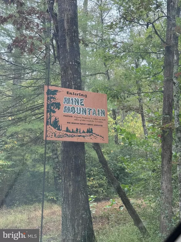 Fort Valley, VA 22652,MINE MOUNTAIN LN #LOT #16