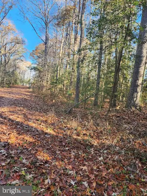 Dameron, MD 20628,18500 SHIPWRECK WAY