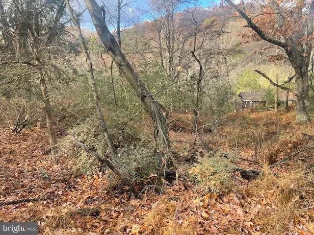 Lost River, WV 26810,937 SETTLERS VALLEY WAY