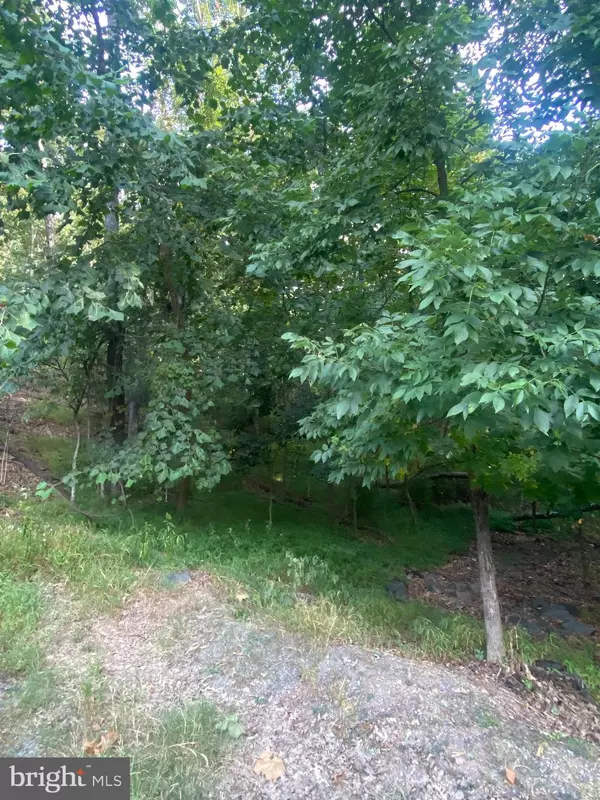 Cross Junction, VA 22625,1116 LAKEVIEW DR