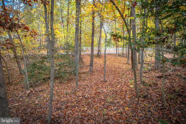 Mineral, VA 23117,LOT 11 - PLEASANTS LN