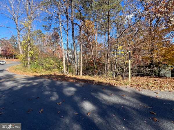 Cross Junction, VA 22625,LOT 98 S LAKEVIEW DR