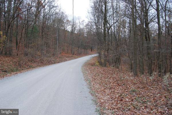 Moorefield, WV 26836,LOT 183 LOCKINGER RIDGE RD