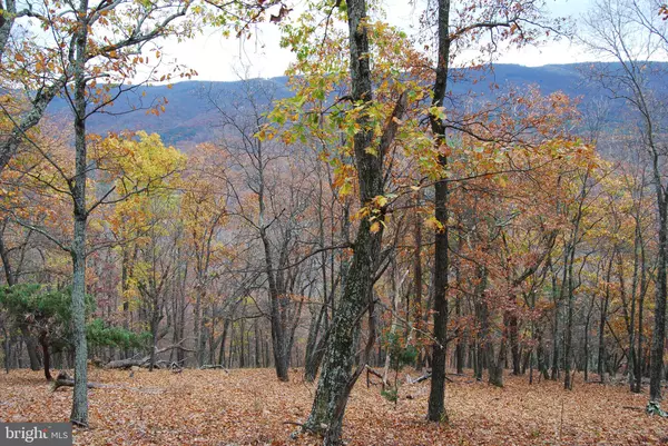 Moorefield, WV 26836,LOT 183 LOCKINGER RIDGE RD