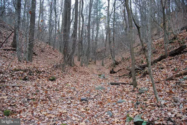 Moorefield, WV 26836,LOT 183 LOCKINGER RIDGE RD