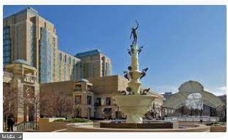 Reston, VA 20190,1711 BLUE FLINT CT
