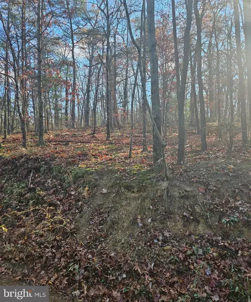 LOT 16 E LINCOLN ESTATES SUBDIVISION, Winchester, VA 22602